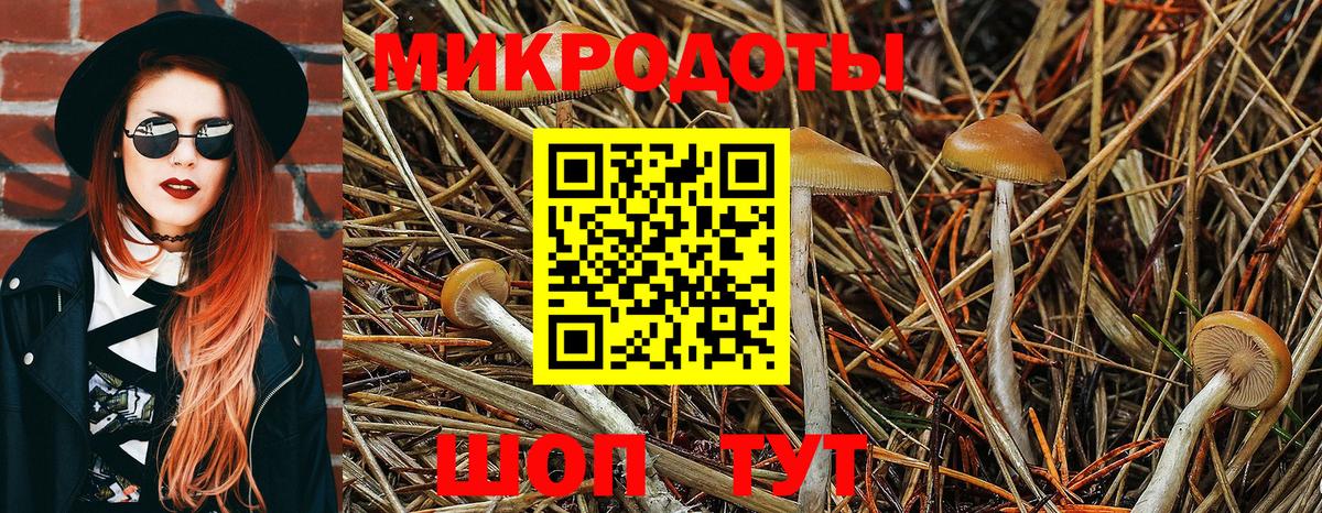 Галлюциногенные грибы ЛСД  Галлюциногенные грибы Psilocybe  Вход с VPN  Людиново 